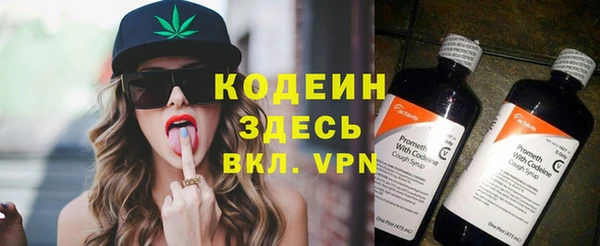 молекула духа Бородино