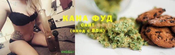 молекула духа Бородино