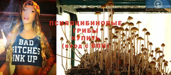 молекула духа Бородино