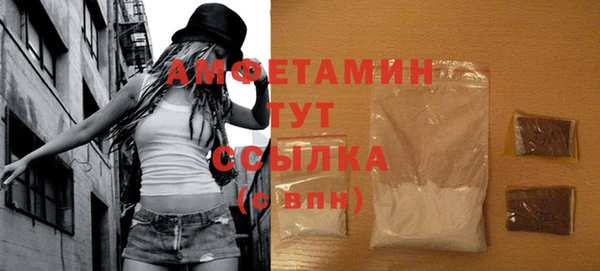 молекула духа Бородино