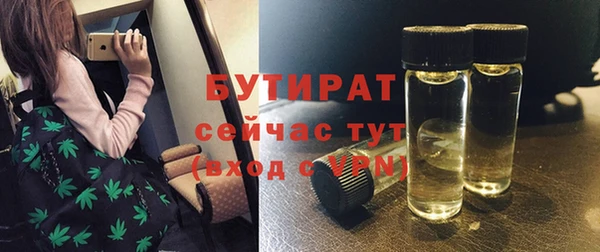 молекула духа Бородино