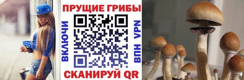 Псилоцибиновые грибы Psilocybine cubensis  МЕГА tor  Новороссийск  наркотики 